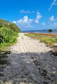 littoral sable Baie olive BO AE