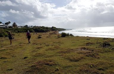 falaise bois jolan le helleux ste anne guadeloupe