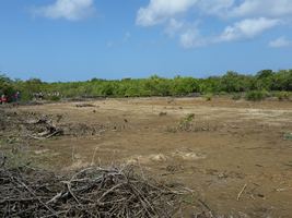 marais port louis grande terre guadeloupe