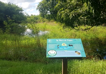 mare Poyen Petit Canal guadeloupe