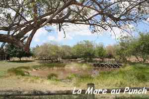 Sentier Murat, Grand Bourg, Marie Galante