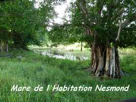 Habitation Nesmond, Capesterre, Marie Galante