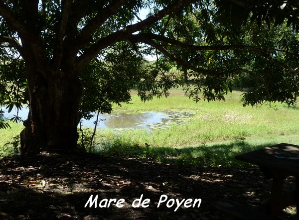 mare poyen, TGT, L