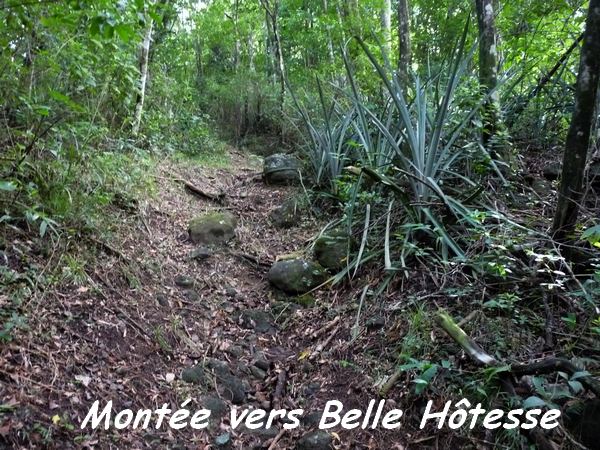 montée belle hotesse B Argent L