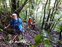 montée, madeleine, basse terre sud, guadeloupe