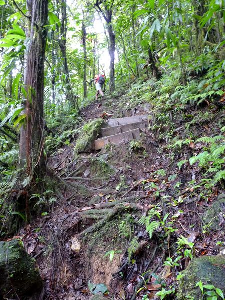 montée, trace des étangs