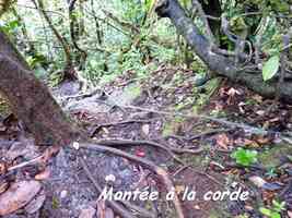 Montée à la corde, Armistice