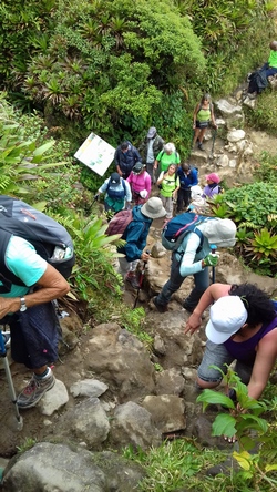 montée cratère soufrière guadeloupe