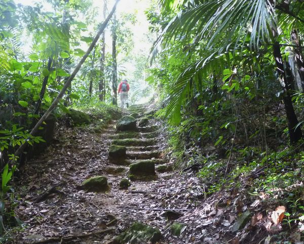 Montée, baille argent, tete allègre , basse terre nord, Guadeloupe