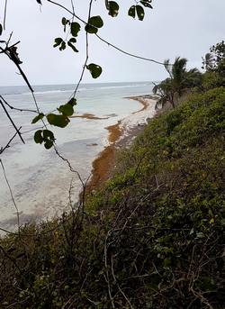 montée trou à coa Bois jolan ste anne Guadeloupe