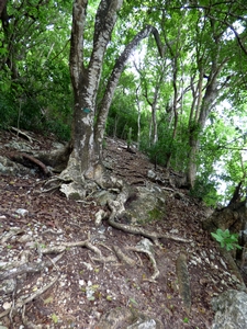 montée vx fort marie galante