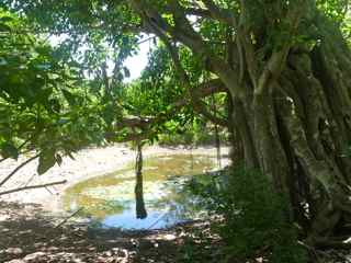 balade morne morel, les saintes, mare, guadeloupe 