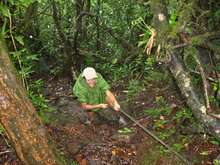 balade armistice, basse terre, guadeloupe