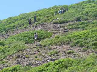 balade morne morel, les saintes, descente pointe zozio, guadeloupe