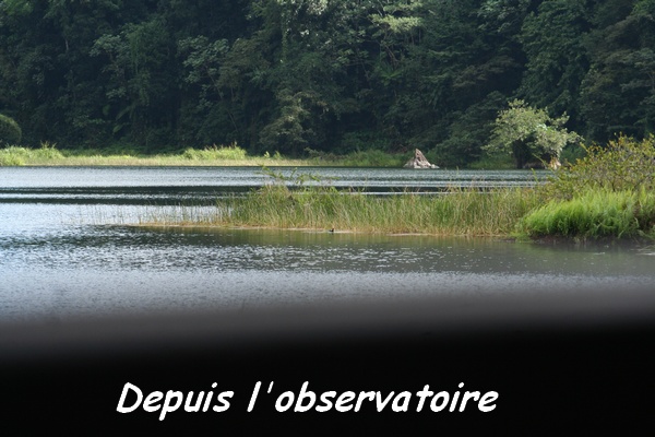 observatoire, grand étang, 3 rivières