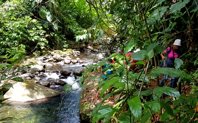 longer la rivière moustique petit bourg Guadeloupe