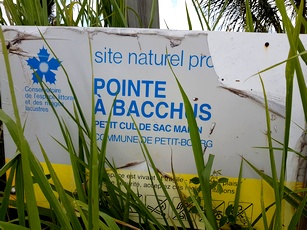 pancarte pointe à bacchus petit bourg Guadeloupe