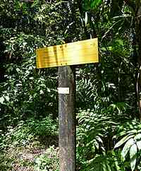 arrivée, rivière quiock, route mamelles, guadeloupe