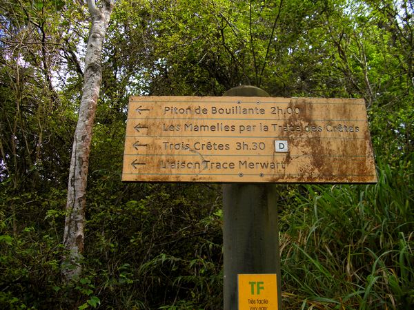 Balisage à Gros Figuier