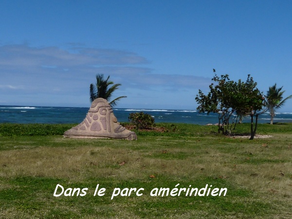 parc amerindien TGT4L