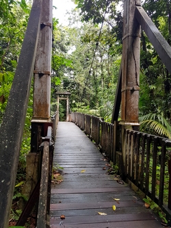 passerelle maison de la foret guadeloupe