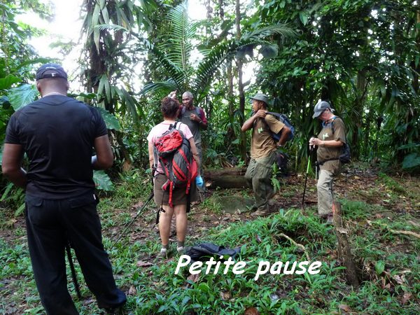 pause , bifurcation belle isle, Contrebandiers, Guadeloupe