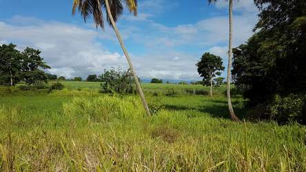 paysage Birmingham , BMAO Guadeloupe