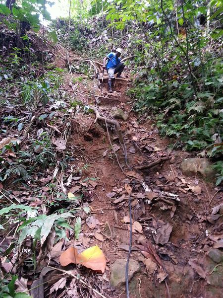 pente, chemin, cascade Bis, ste Rose, guadeloupe