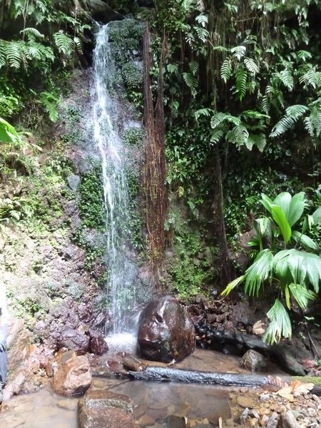 petite cascade mangle, chutes moreau, Basse terre