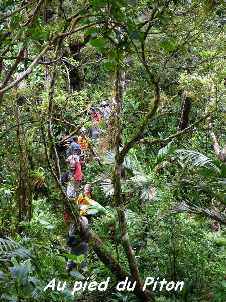 Au pied du Piton de Bouillante