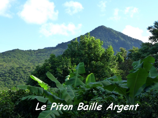 Piton B Argent L