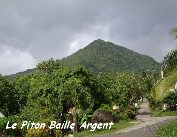 piton baille argent, basse terre nord, guadeloupe