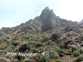 piton napoléon, soufrière, guadeloupe