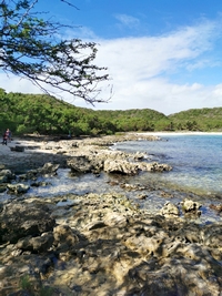 abord plage anse à l`eau St François
