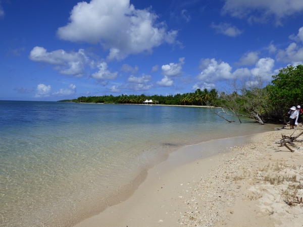 plage, anse sable, port Louis, Grande terre, guadeloupe