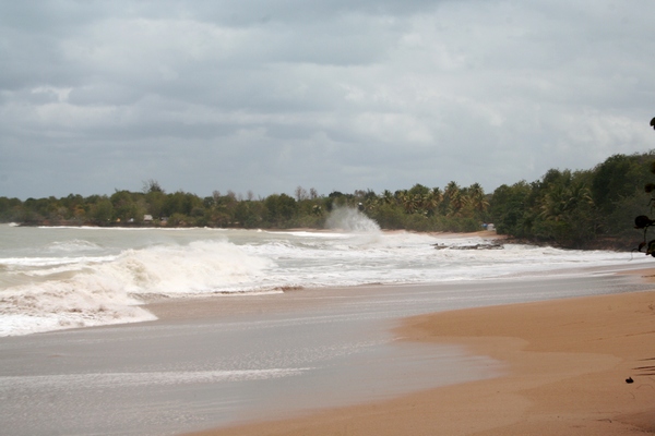 plage cluny, pointe allègre L