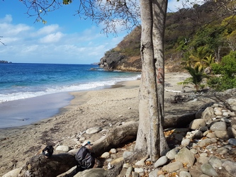 Plage Crawen terre de haut Guadeloupe