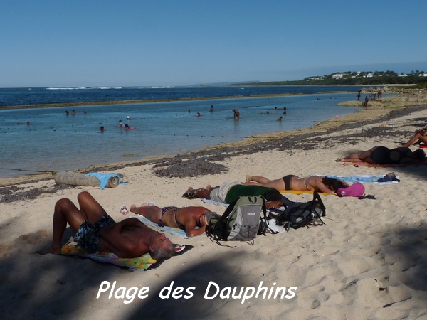 plage dauphins TGT4L