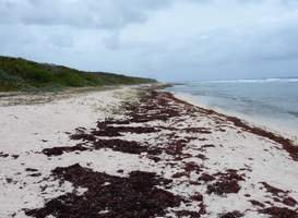 Plage Galets M Galante