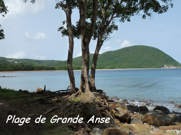 Vue sur la Plage de Grande Anse, Deshaies