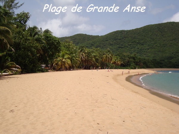 Plage de Grande Anse, Deshaies