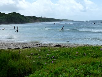 plage Helleux ste anne Guadeloupe