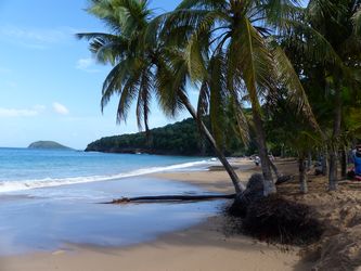 plage la perle deshaies Guadeloupe