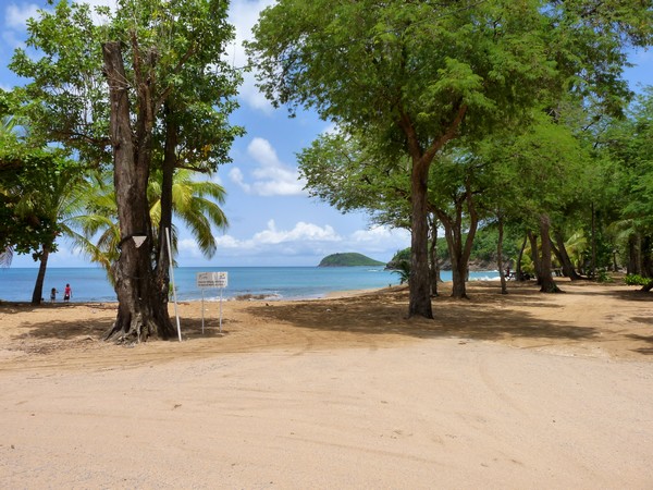 Plage de La Perle, Deshaies