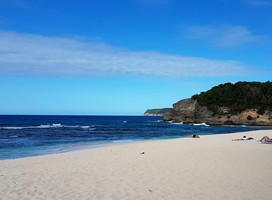 plage anse laborde grande terre guadeloupe