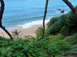 plage, sentier, tillet, basse terre, guadeloupe