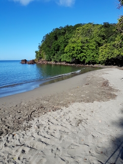 plage petit malendure bouillante guadeloupe