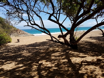 plage tillet Guadeloupe