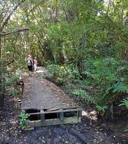 platelage babin Vx bourg Guadeloupe