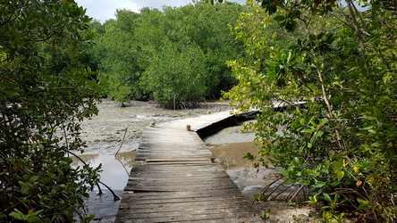 platelage du belley ste anne Guadeloupe